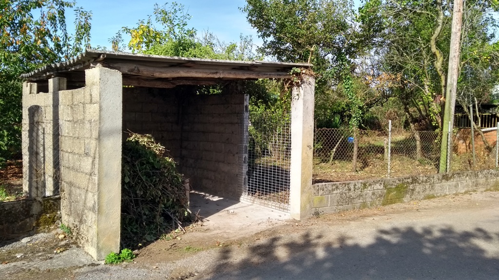 Potro de Piño